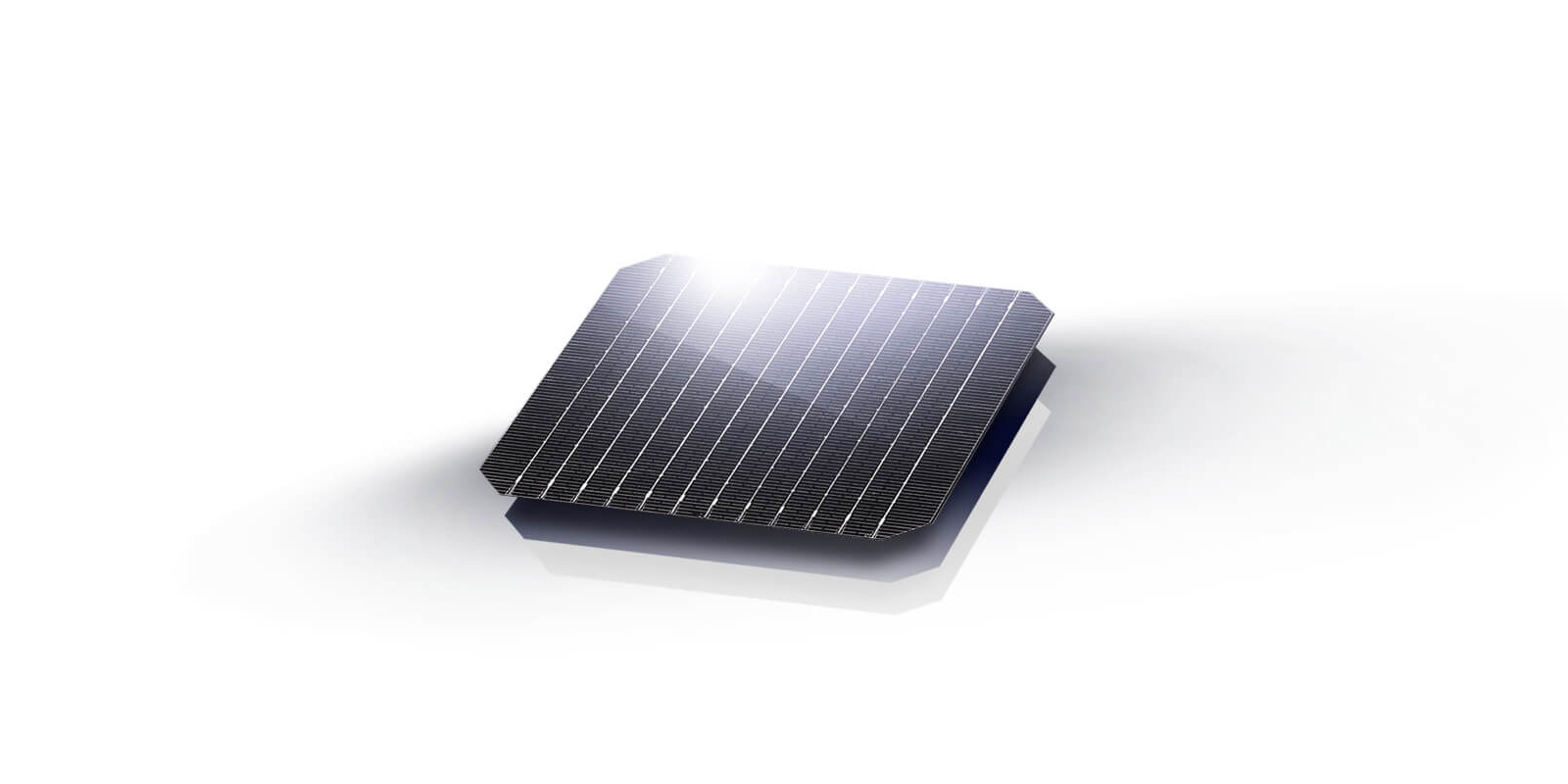 Cell Production Process1